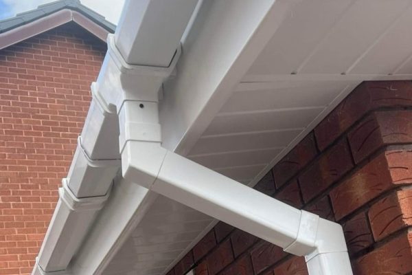 D002C900-4B8E-4460-A5A6-AF792ABD31A4